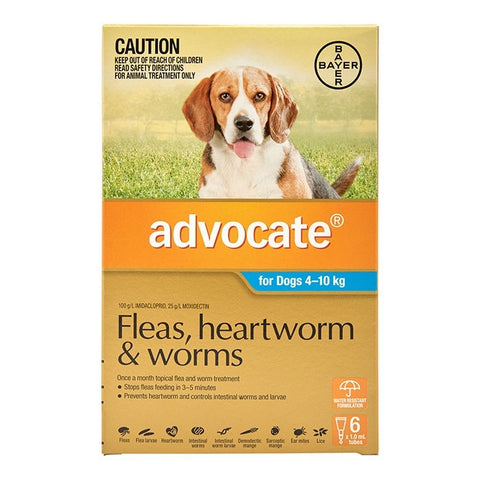 Advocate For Medium Dogs (4-10kg) - 3 Pack