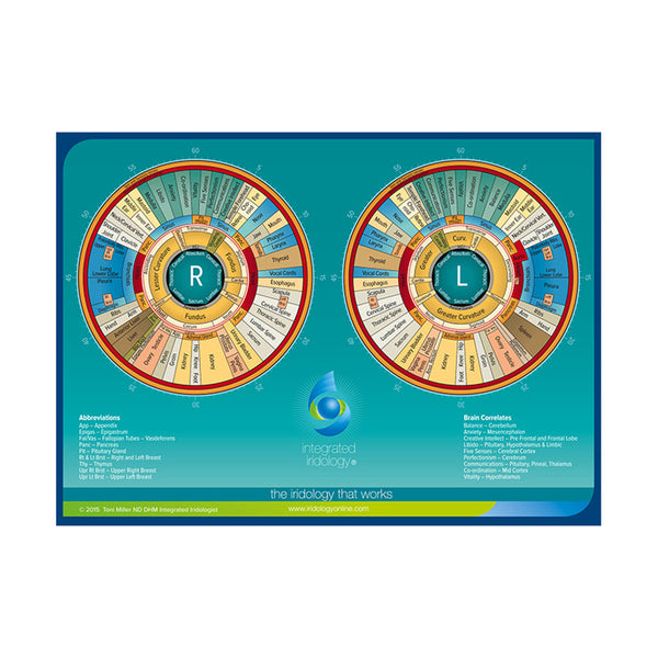 Buy Integrated Iridology Pocket Folded Chart Iris Chart Online at