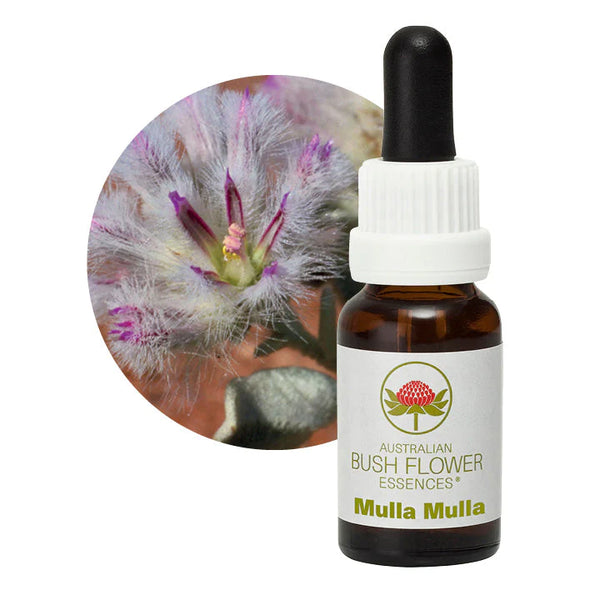 Buy Australian Bush Flower Essences Mulla Mulla 15ml Online at