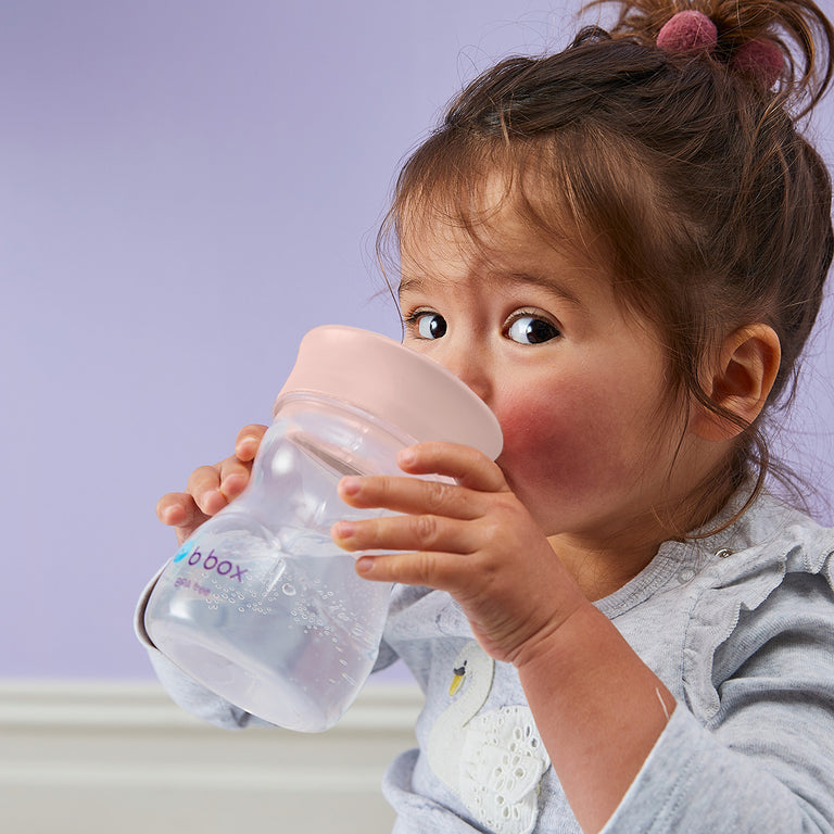 B.Box Training Cup Blush 240ml