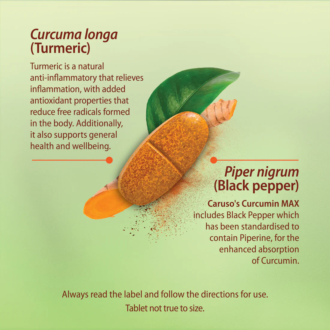 Caruso's Curcumin Max 50 Tabs
