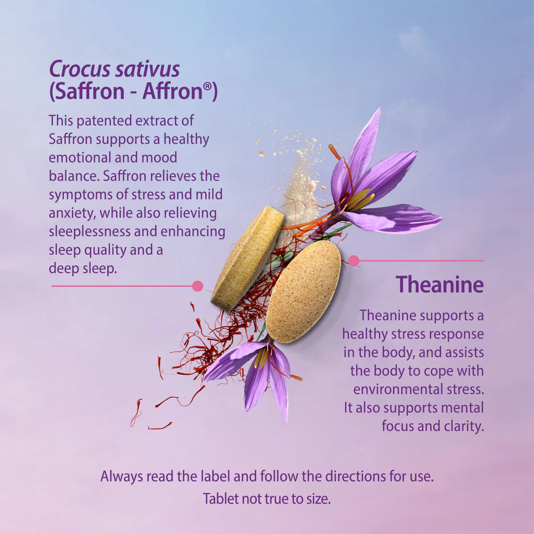 Caruso's Saffron + L-Theanine 30 Tabs