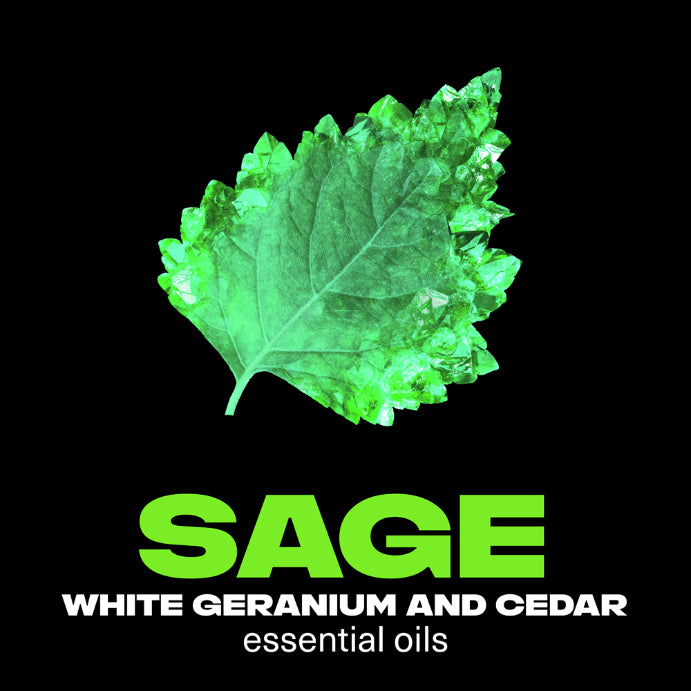 Lynx Fine Fragrance Body Spray Emerald Sage 150ml