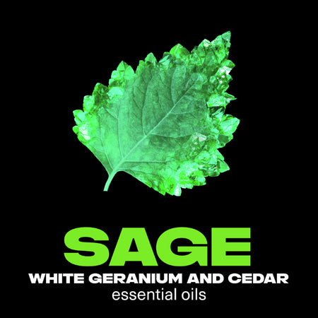 Lynx Fine Fragrance Body Spray Emerald Sage 150ml