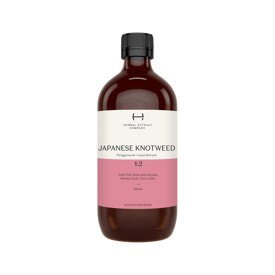 Herbal Extract Company Japanese Knotweed 1:2 500ml