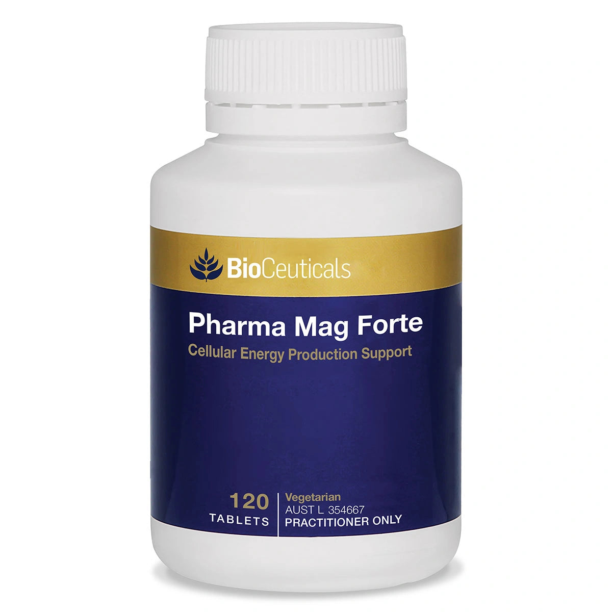 Buy Bioceuticals Pharma Mag Forte 120 Tablets Online at ...