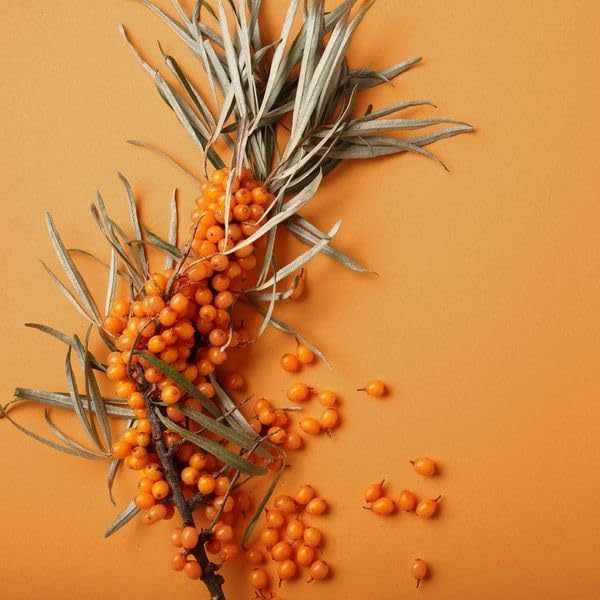 Weleda Shower Cream Vitality Stimulating Sea Buckthorn 400ml