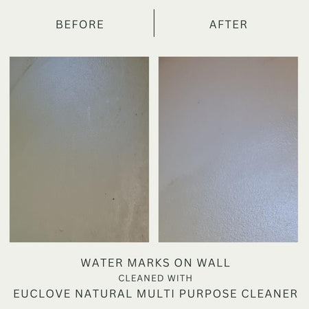 Euclove Multi-purpose Cleaner Spray 500ml