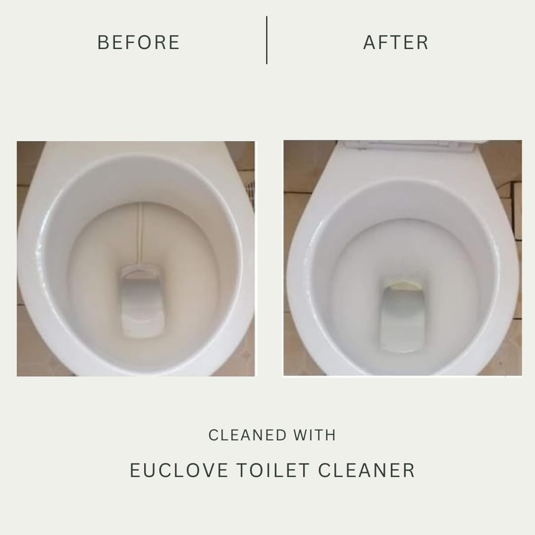 Euclove Toilet Cleaner 500ml