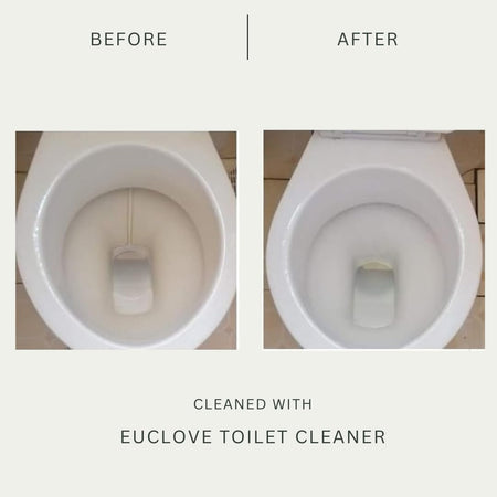 Euclove Toilet Cleaner 500ml