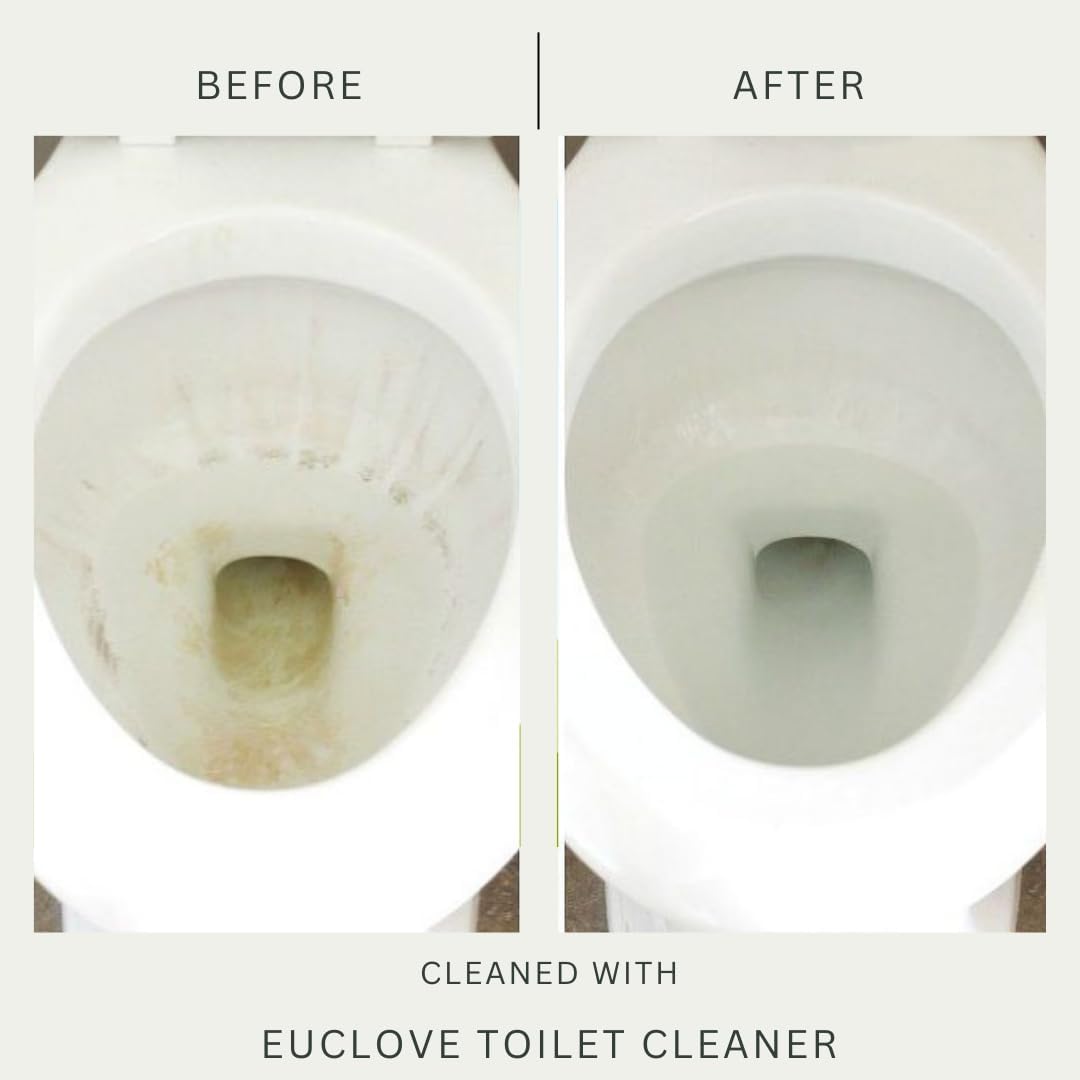 Euclove Toilet Cleaner 500ml