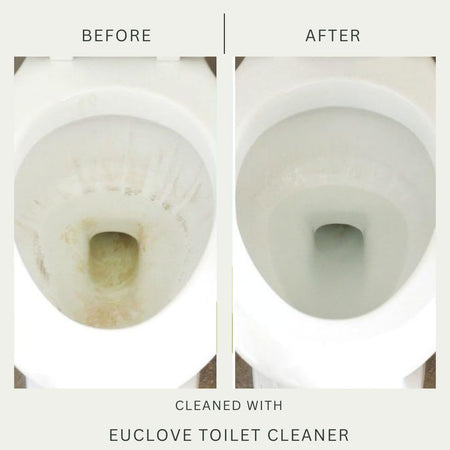 Euclove Toilet Cleaner 500ml