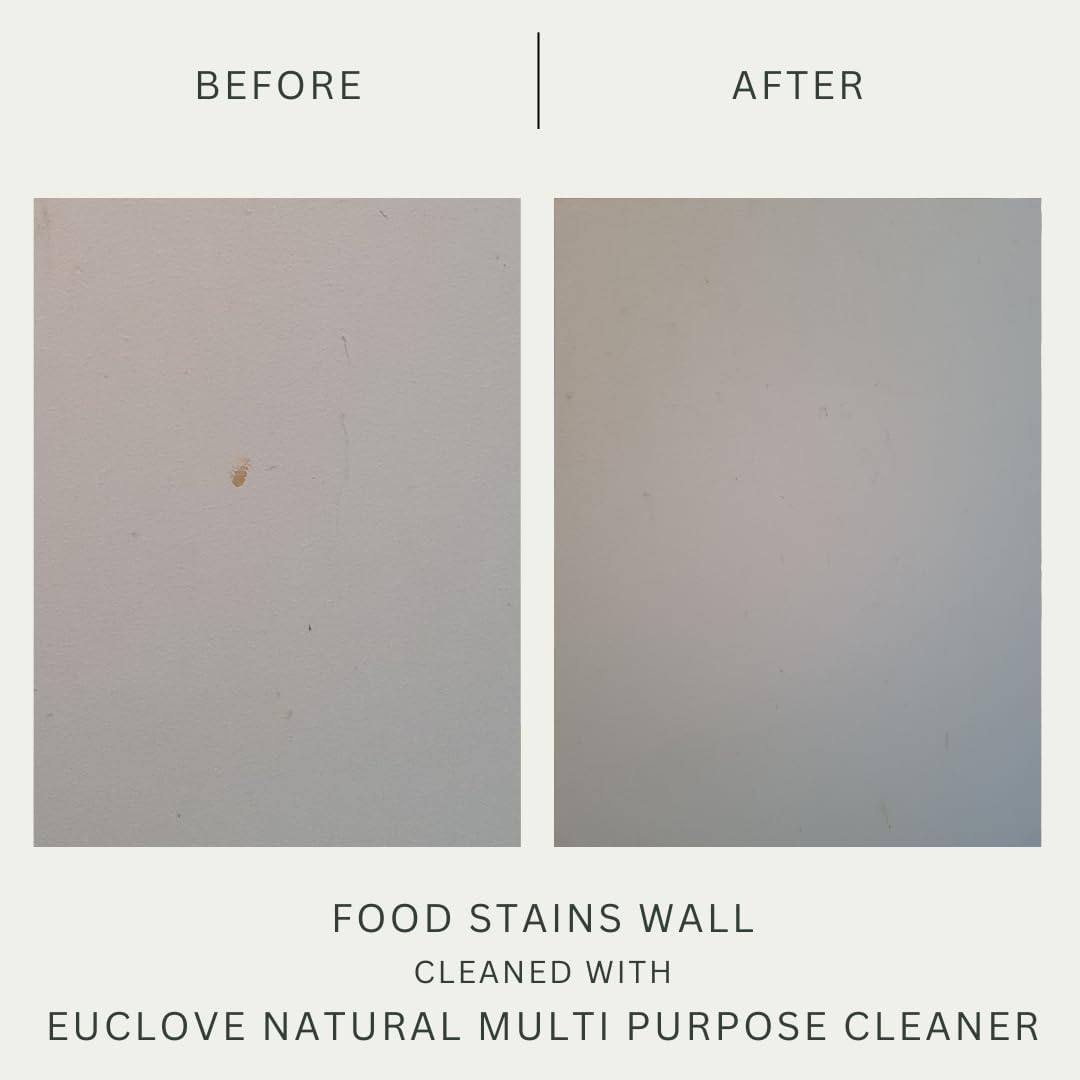 Euclove Multi-purpose Cleaner Spray 500ml