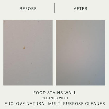 Euclove Multi-purpose Cleaner Spray 500ml