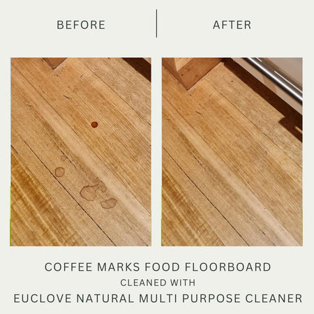 Euclove Multi-purpose Cleaner Spray 500ml