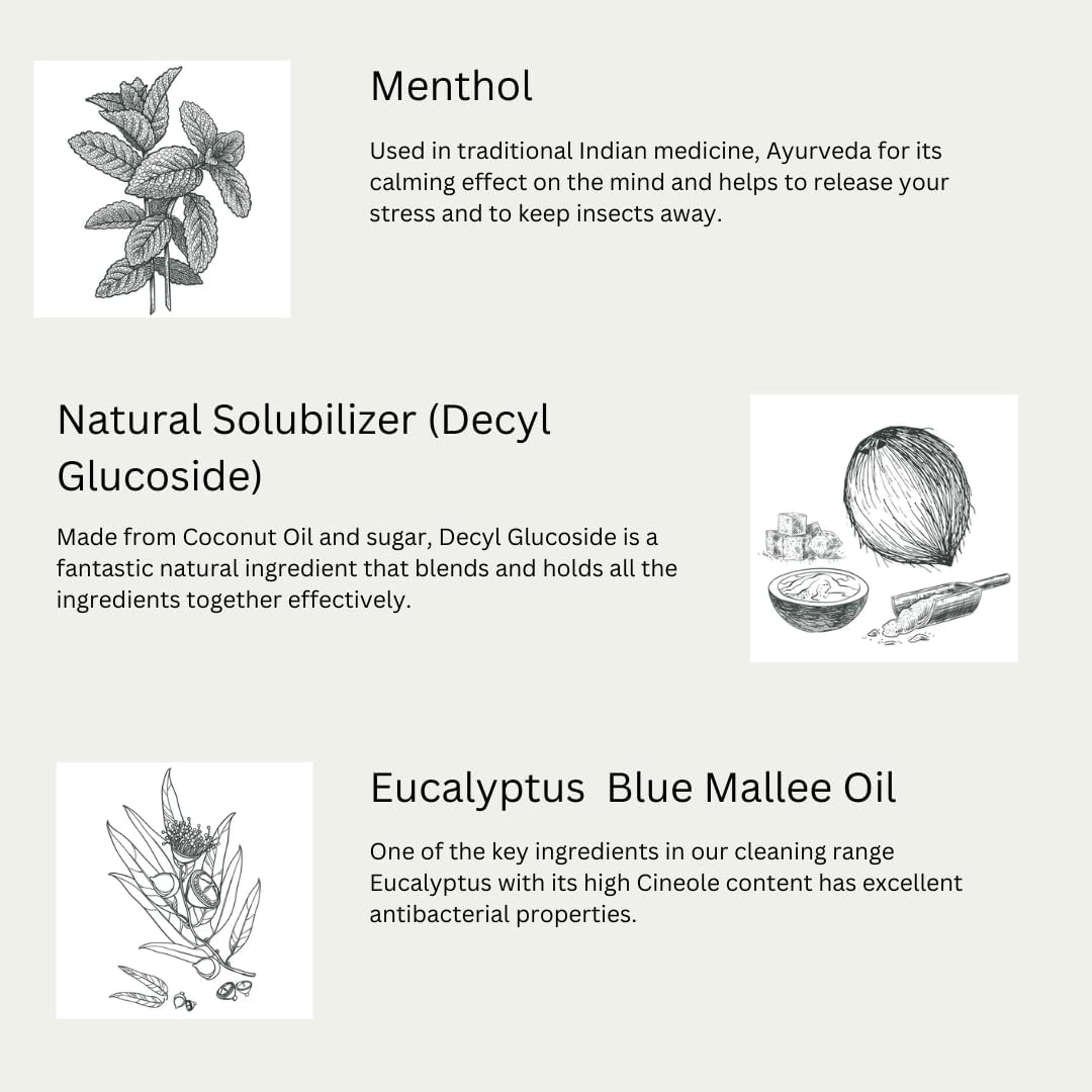 Euclove Multi-purpose Cleaner Spray 500ml