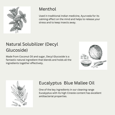 Euclove Multi-purpose Cleaner Spray 500ml