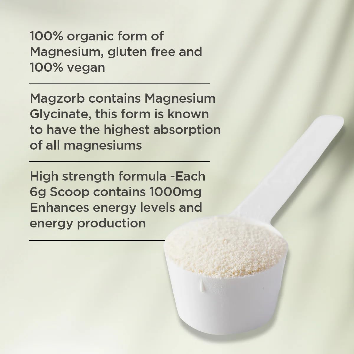 Vitaceuticals Magzorb 240g Powder