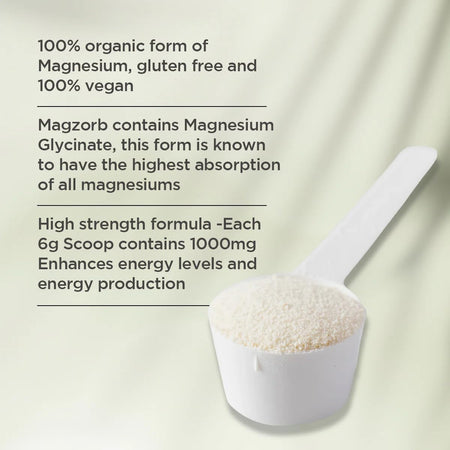 Vitaceuticals Magzorb 240g Powder