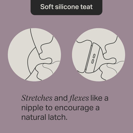 Tommee Tippee Natural Start 260ml PP Bottles Boy 3 Pack