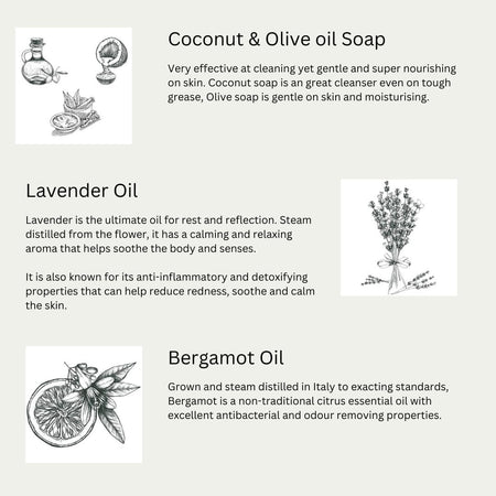 Euclove Toilet Cleaner 500ml