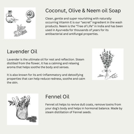 Euclove Pet Dog Shampoo 500ml