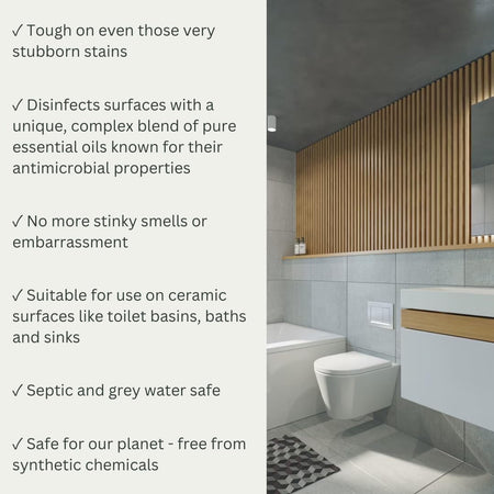 Euclove Toilet Cleaner 500ml