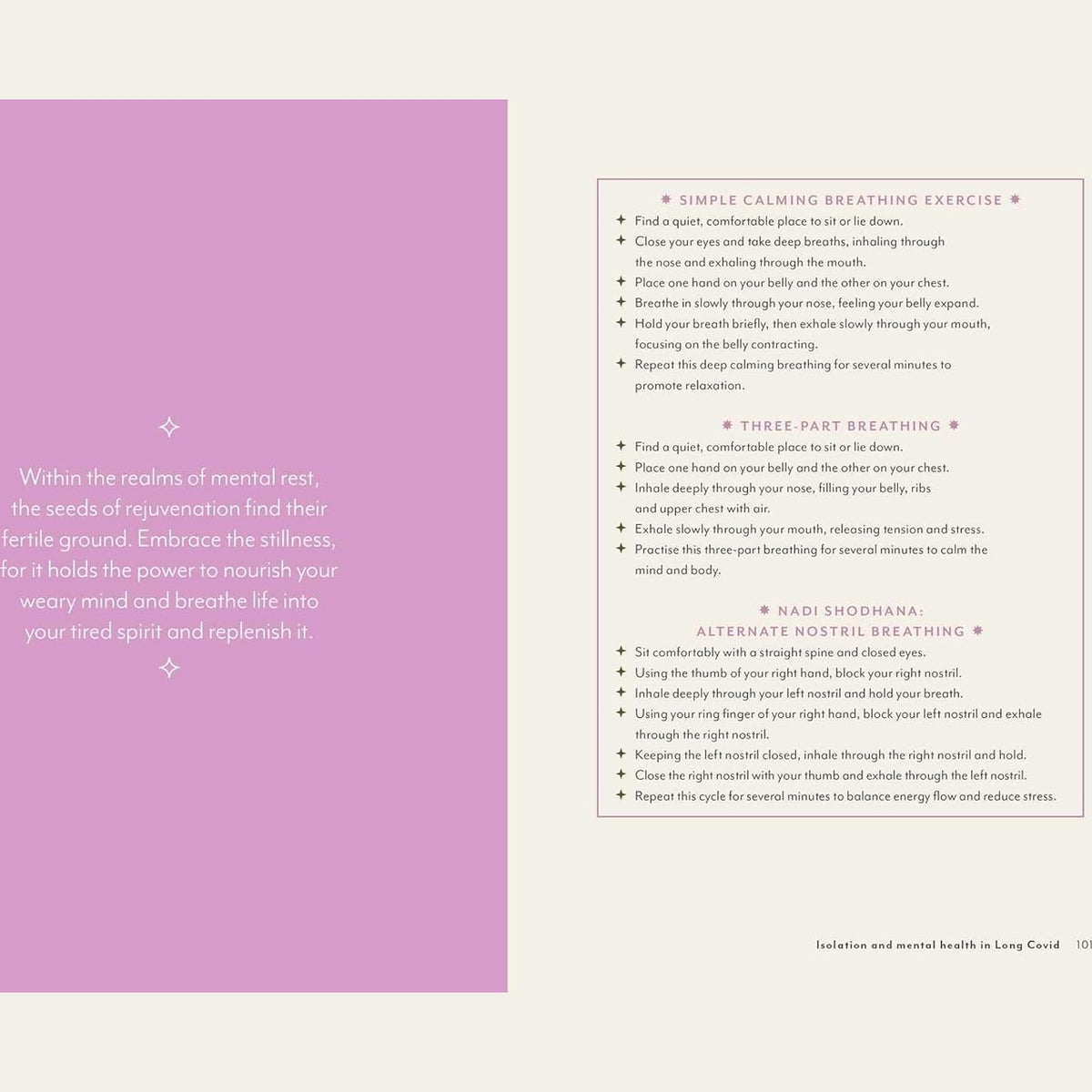 Supercharged Food Nature's Way To Healing: A Long Covid Guide by Lee Holmes