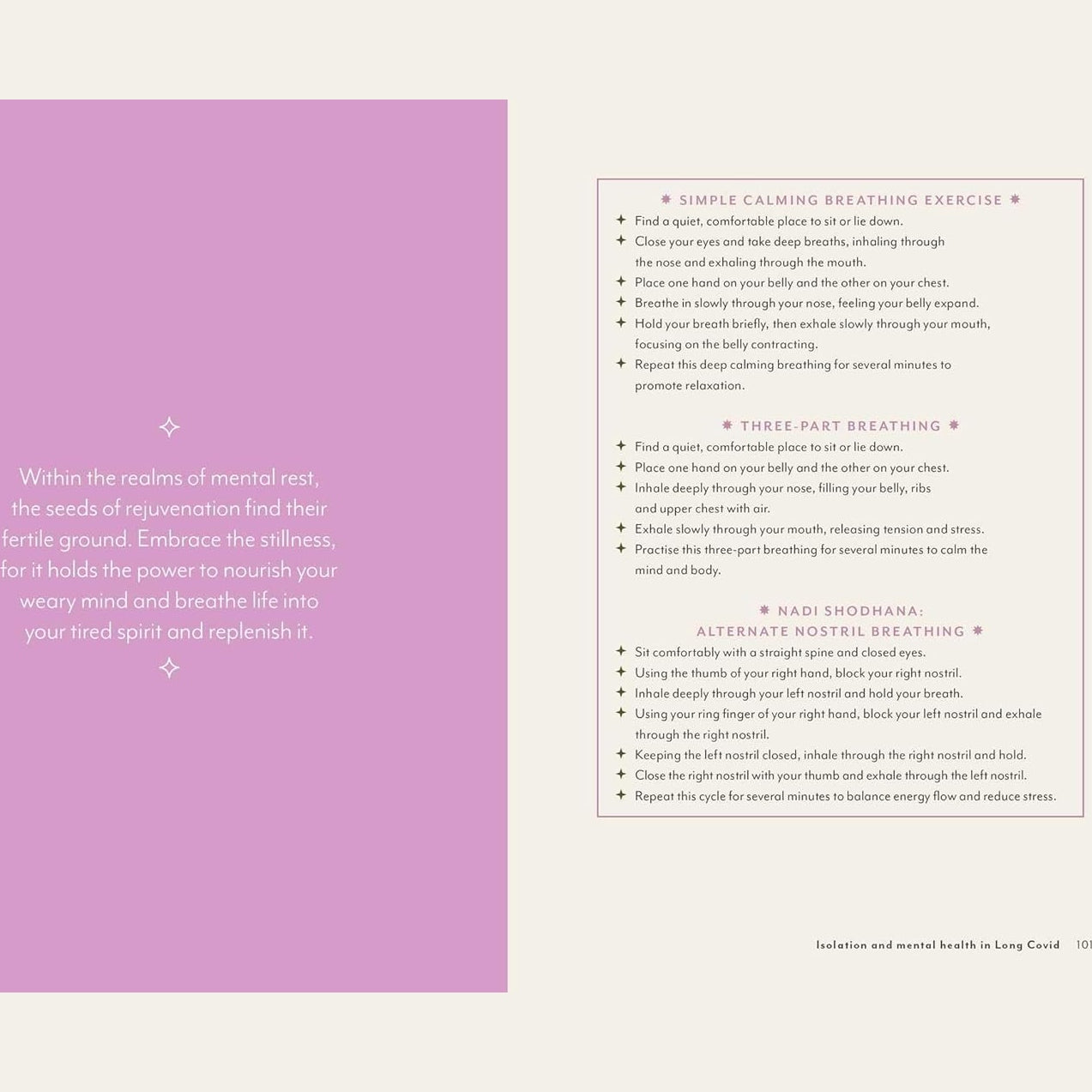 Supercharged Food Nature's Way To Healing: A Long Covid Guide by Lee Holmes