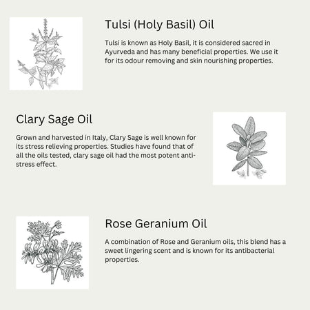 Euclove Toilet Cleaner 500ml