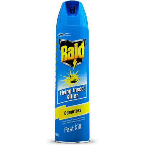 RAID FLYING INSECT KILLER FAST KILL ODOURLESS 350g