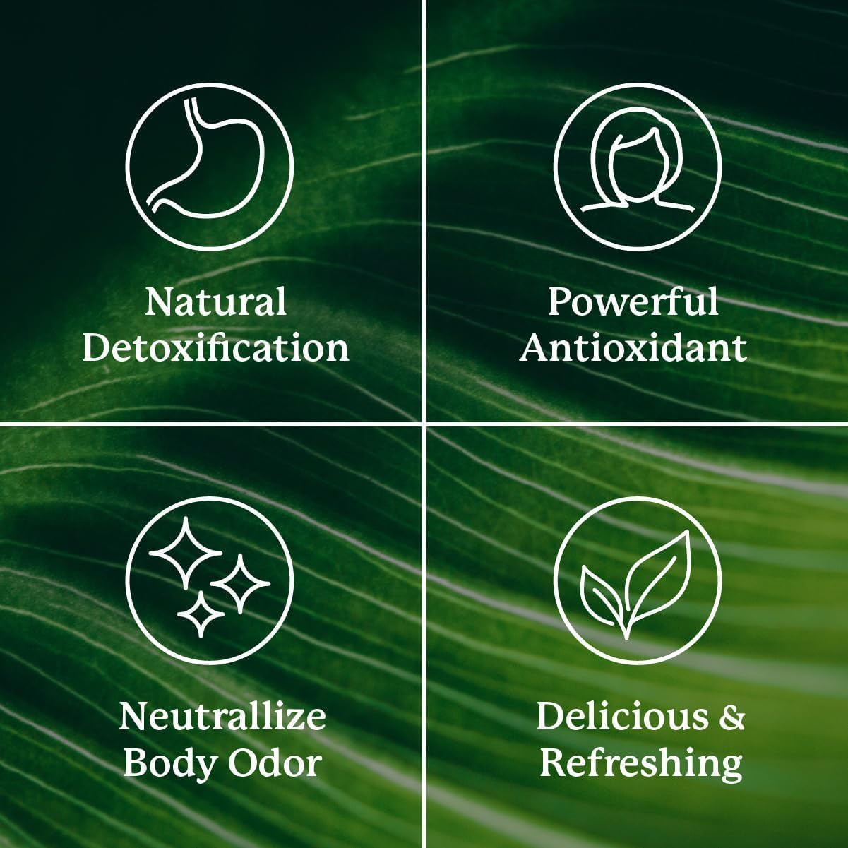 Nature's Sunshine Chlorophyll Detoxifying Melon 30s