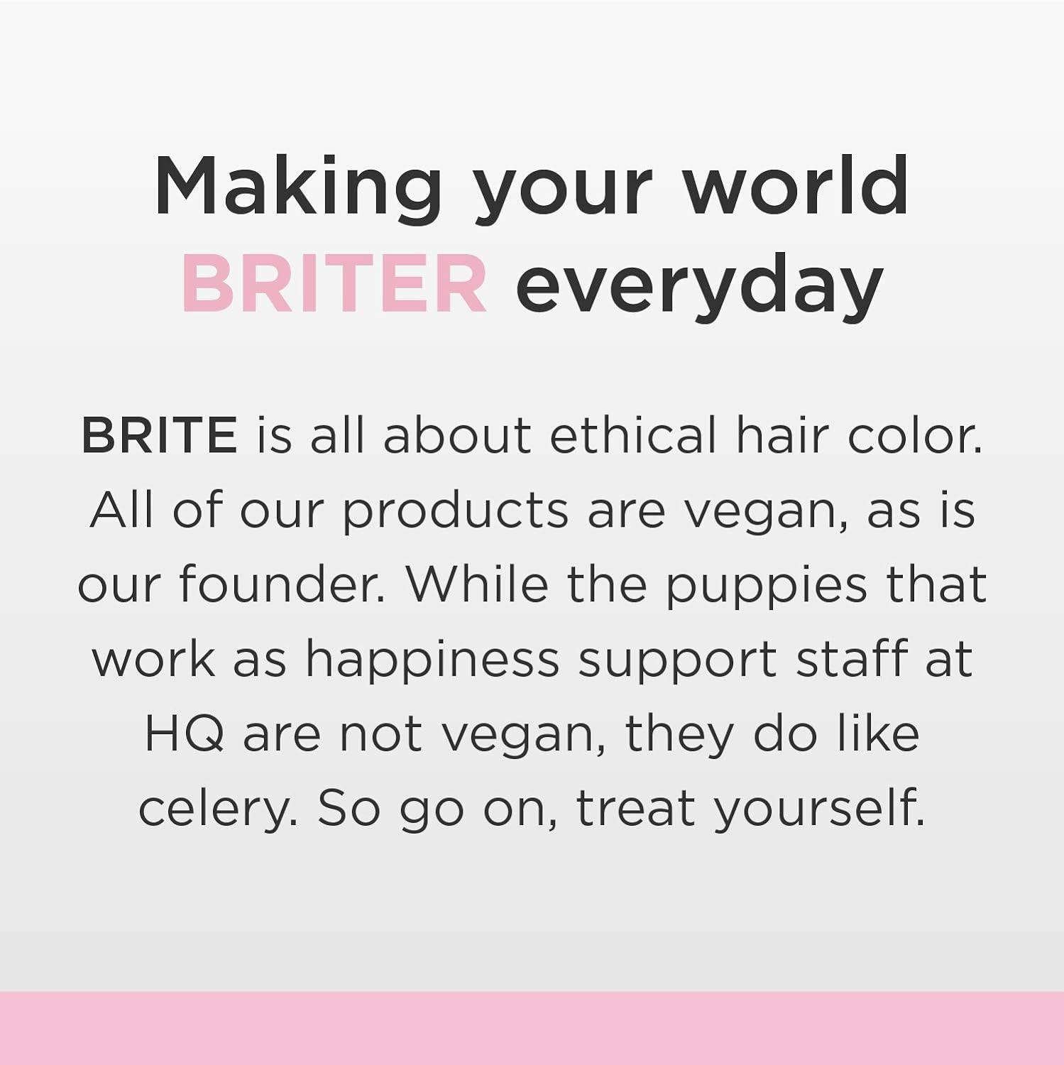 Brite Organix Bleach Kit 1 Kit