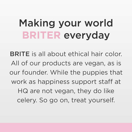 Brite Organix Bleach Kit 1 Kit