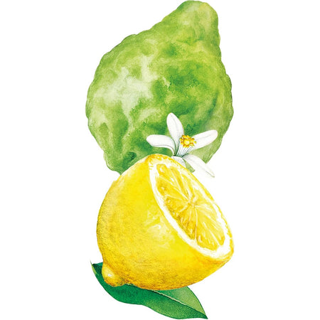 Weleda Deodorant Stick Citrus-bergamot 50g