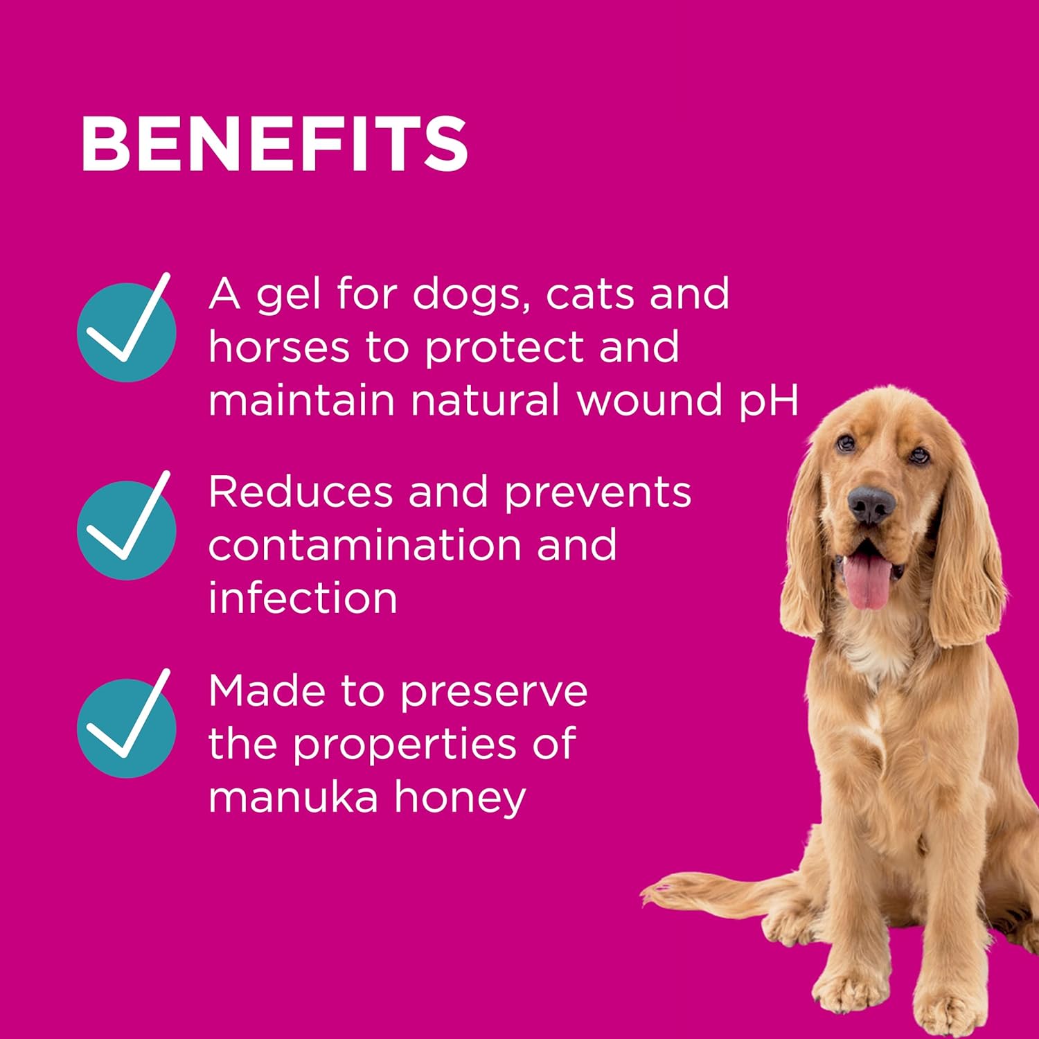 PAW By Blackmores Manuka Wound Gel + Protective Barrier For Wound Care 100g