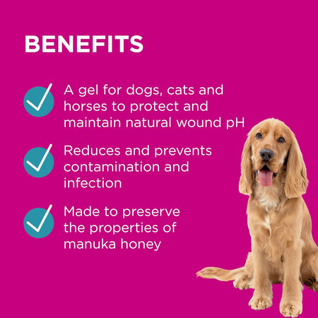 PAW By Blackmores Manuka Wound Gel + Protective Barrier For Wound Care 100g