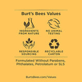 Burt's Bees Lip Balm Advanced Relief Eucalyptus 4.25g