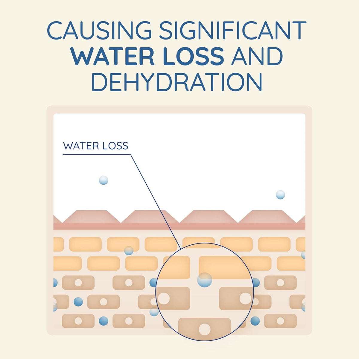 Aveeno Relief Body Wash Fragrance Free 532ml