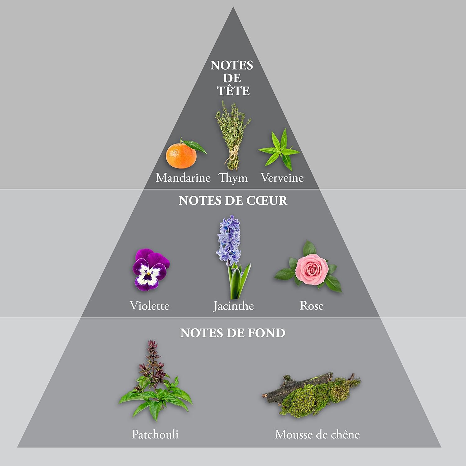 Whisky Silver Men EDT 100ml