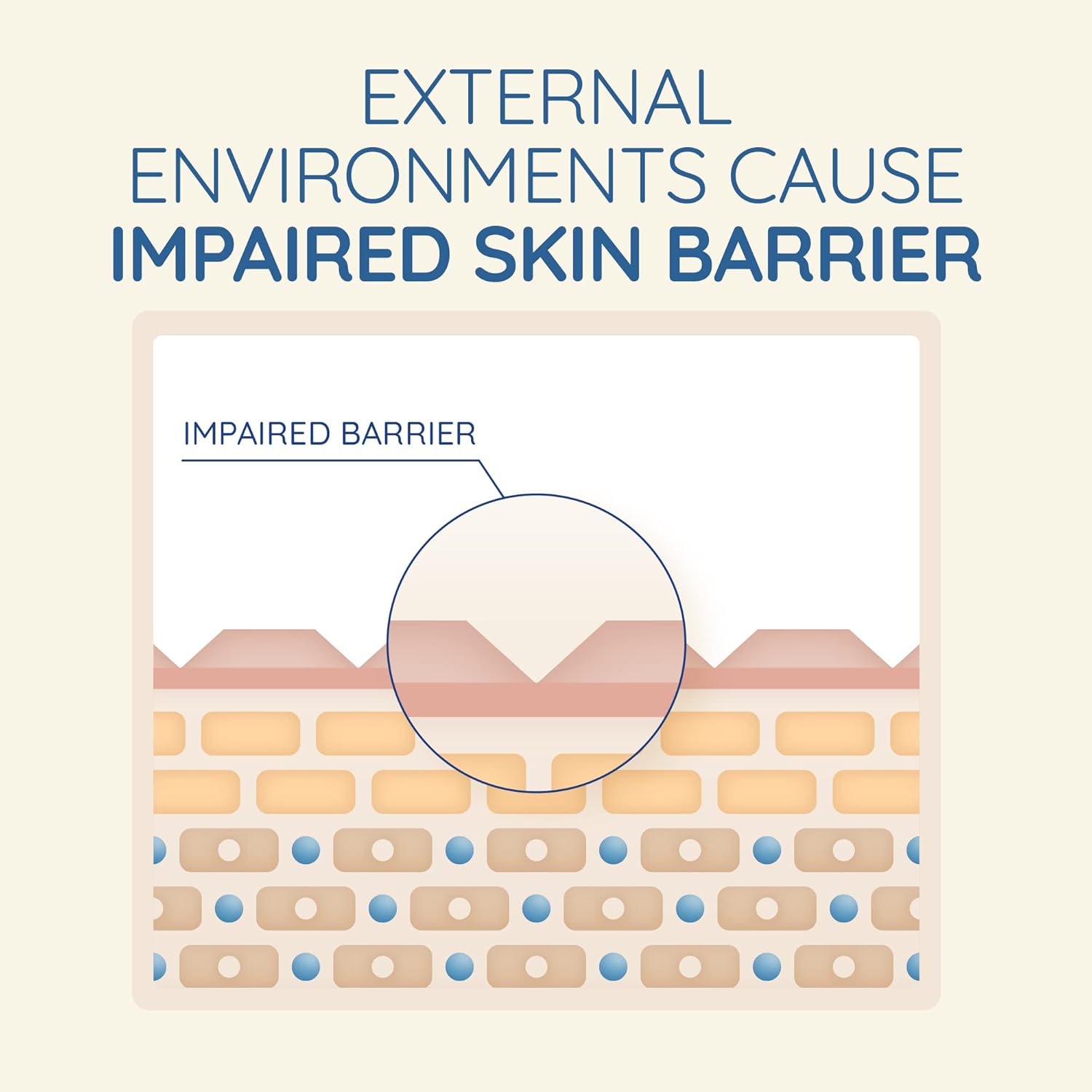 Aveeno Relief Body Wash Fragrance Free 532ml