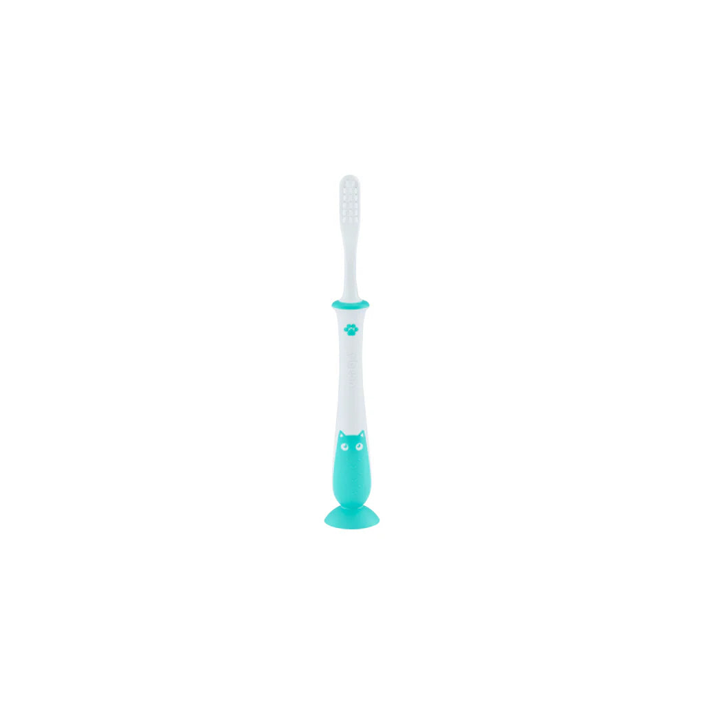Pigeon Training Toothbrush Lesson 4 Mint