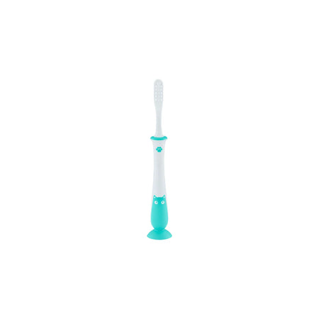 Pigeon Training Toothbrush Lesson 4 Mint