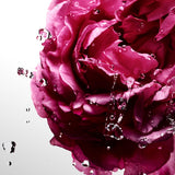 Davidoff Cool Water Sea Rose EDT 100mL