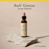 Bach Flower Remedies Gentian 20ml