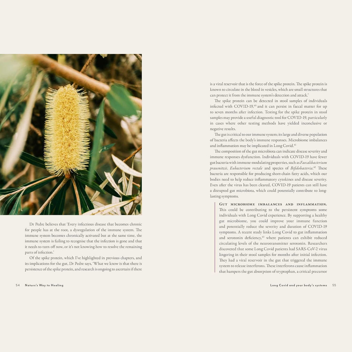 Supercharged Food Nature's Way To Healing: A Long Covid Guide by Lee Holmes