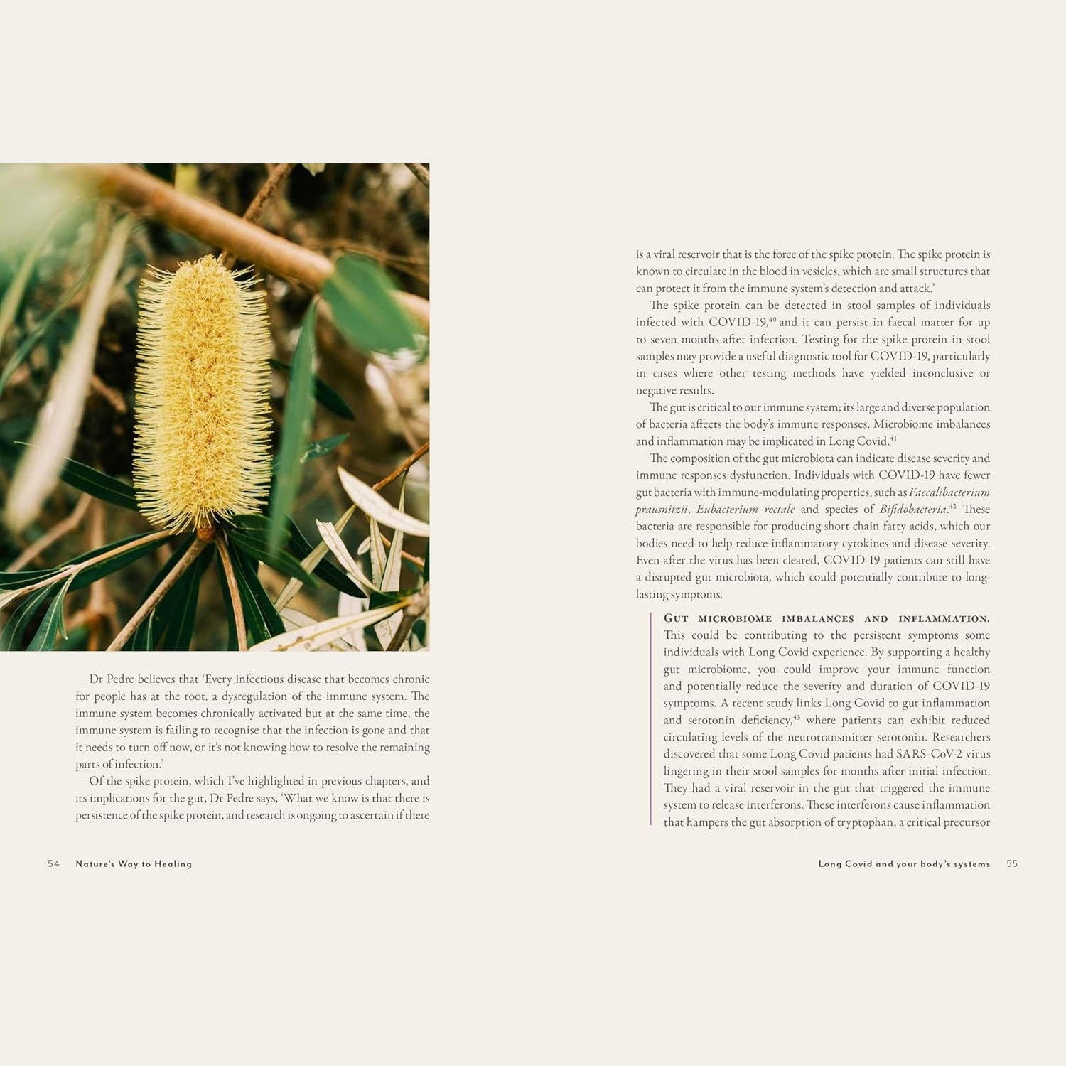 Supercharged Food Nature's Way To Healing: A Long Covid Guide by Lee Holmes