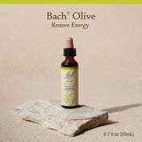 Bach Flower Remedies Olive 20ml