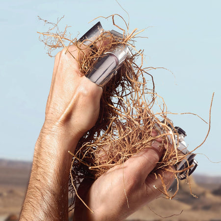 Dolce & Gabbana K EDT 50ml