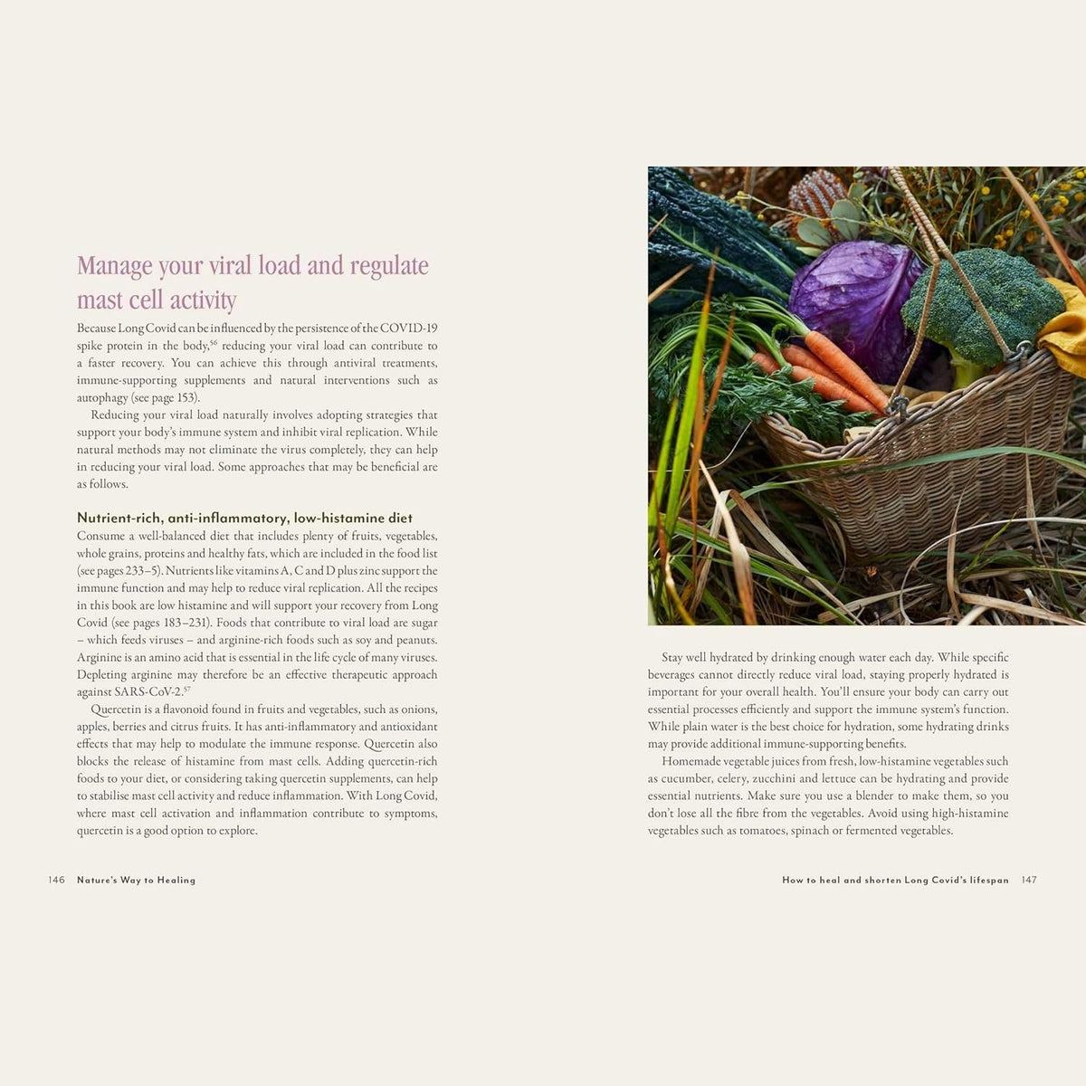 Supercharged Food Nature's Way To Healing: A Long Covid Guide by Lee Holmes